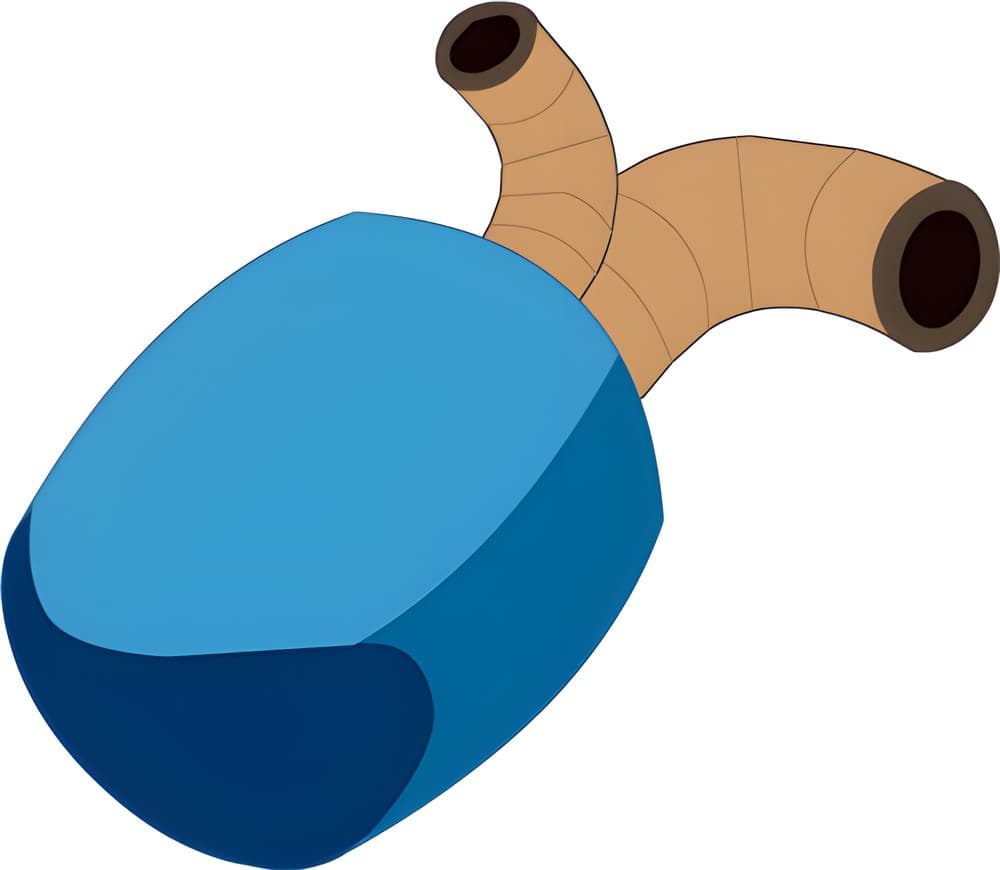 Bionicle Air Bladder