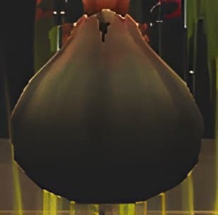 Madu Fruit In Bionicle The Game