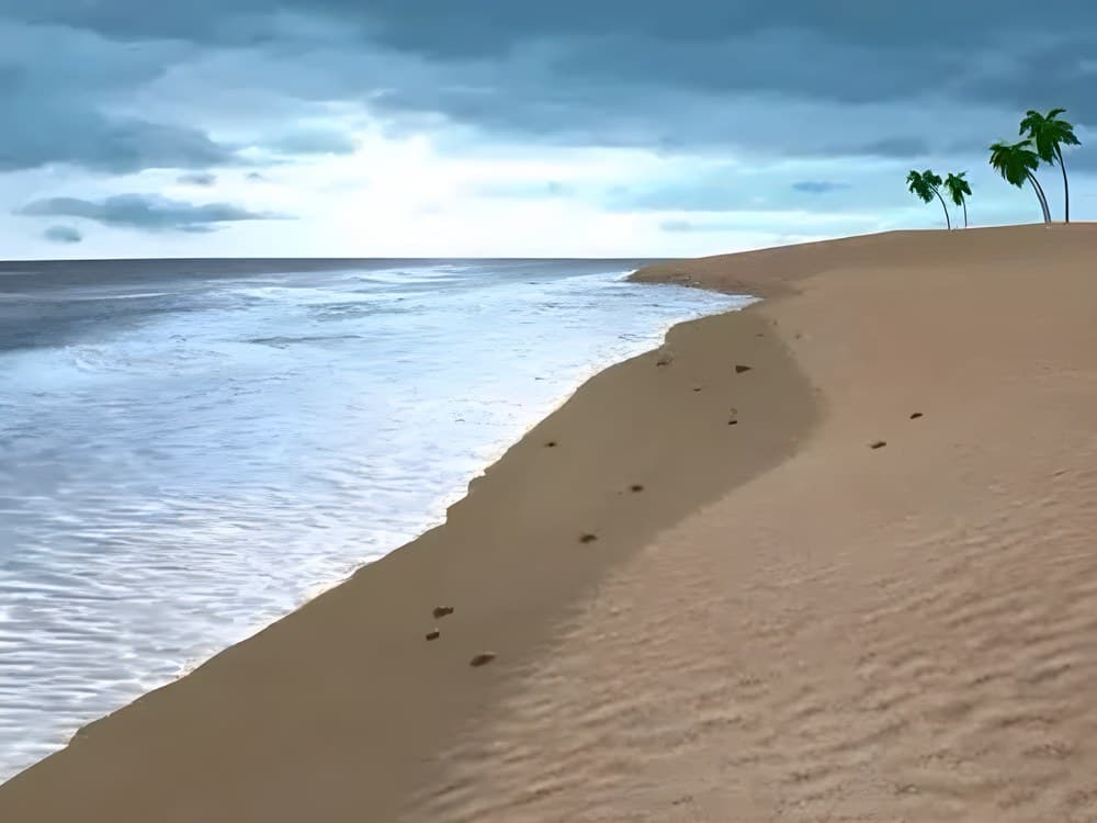 Papa Nihu Reef Shore