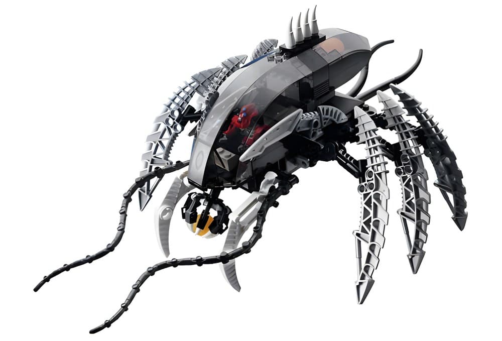 Spider Crab