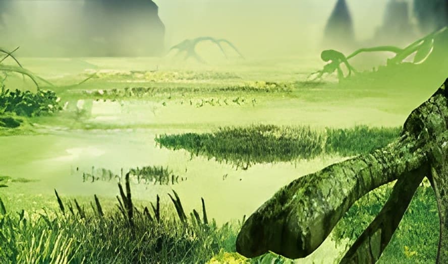 Swamps Of Secrets