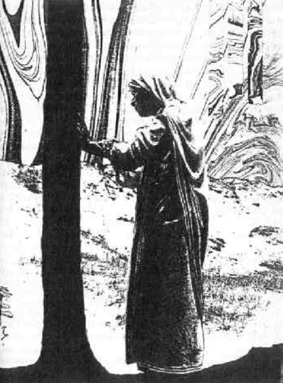 Darwi Odrade — image 3