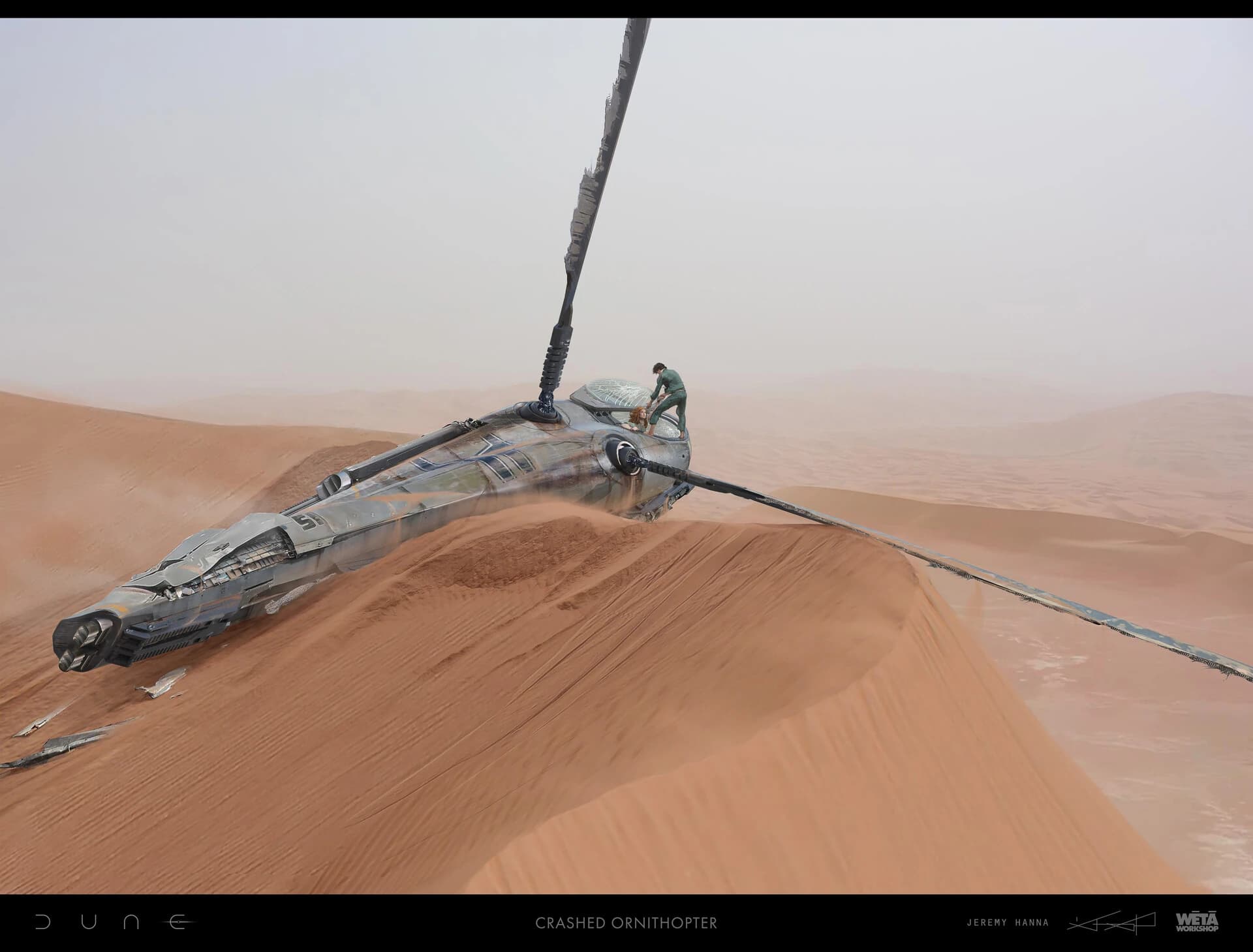 Ornithopter — image 5