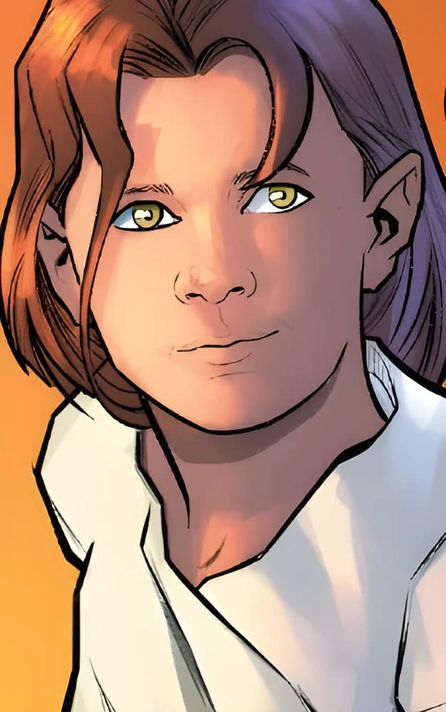 Han Solo — image 2
