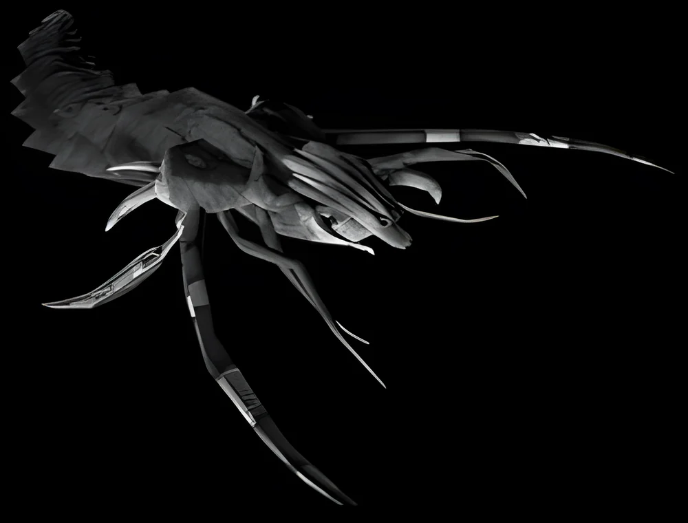 Defiler — image 2