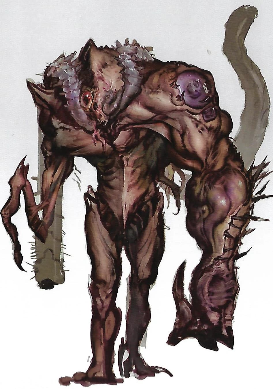 Emil Narud — image 3