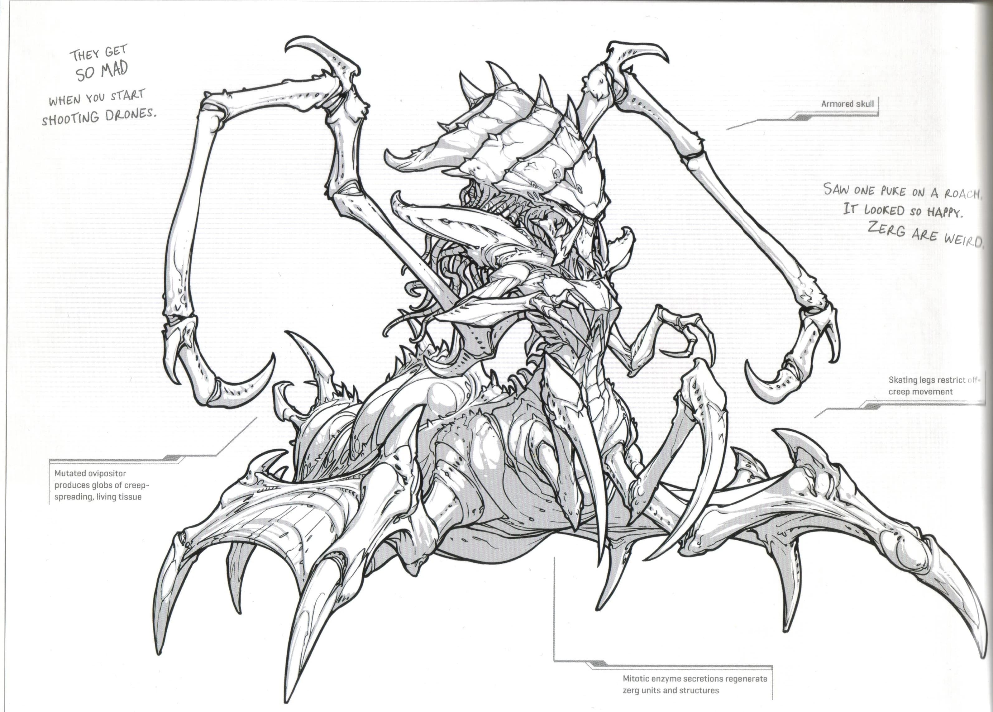 Queen — image 4